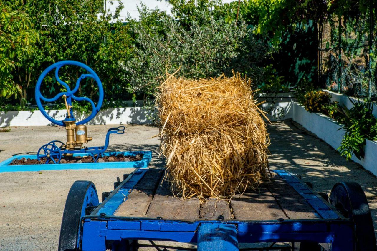Quinta Montebelo Βίλα Vila Franca de Xira Εξωτερικό φωτογραφία