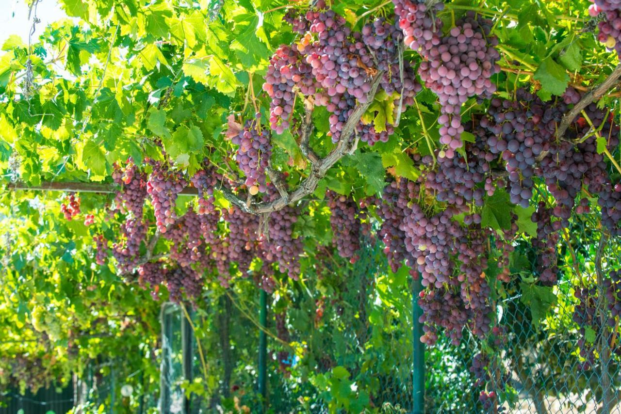 Quinta Montebelo Βίλα Vila Franca de Xira Εξωτερικό φωτογραφία